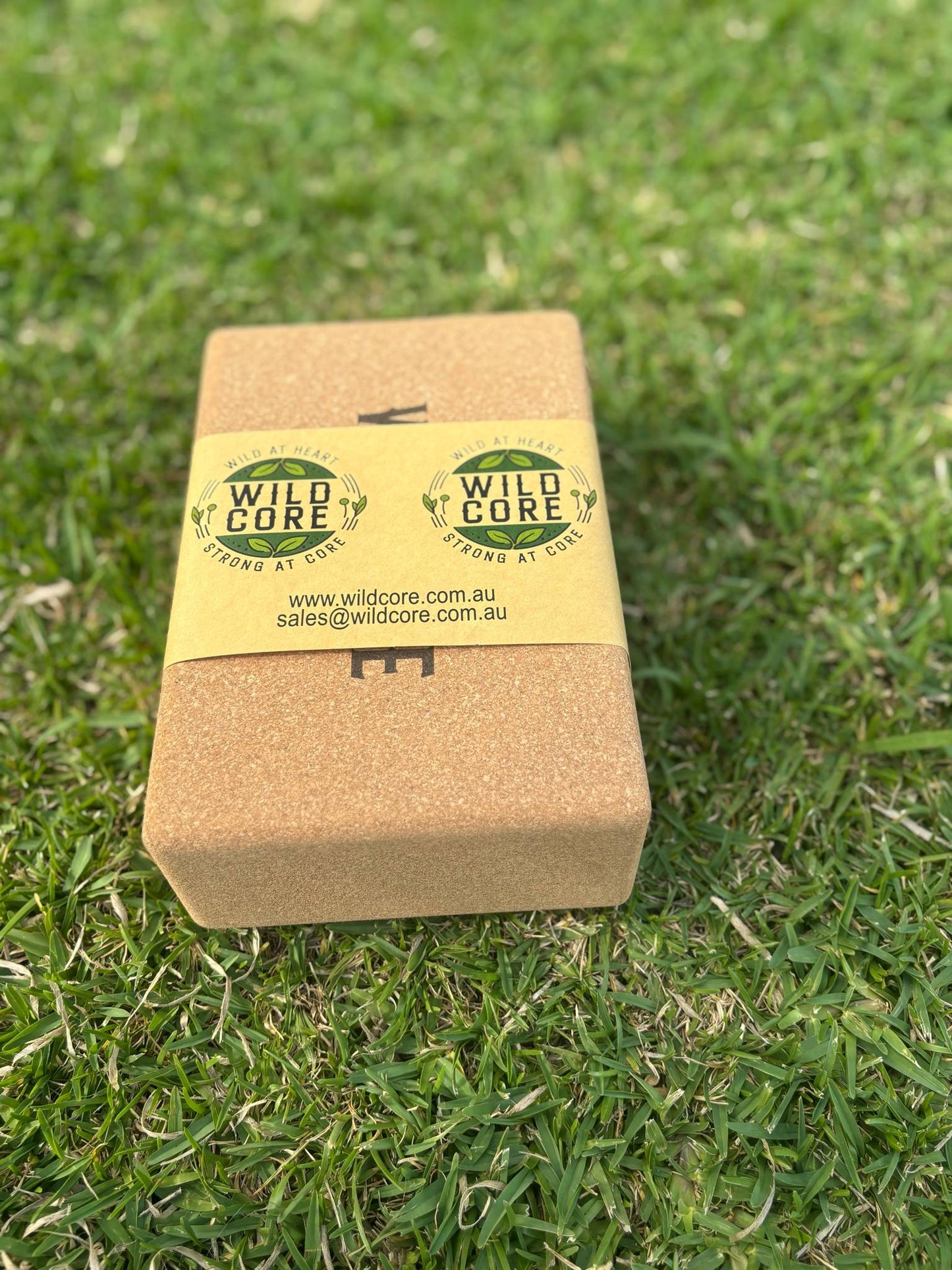 The Recovery Starter Pack